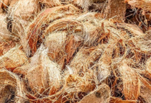 India’s Coir Industry Drives Rural Jobs, Women’s Livelihoods