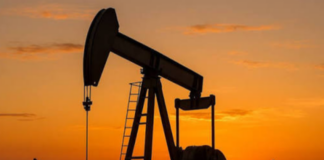 G7 Plans Release of Up to 100 Million Barrels of Oil and Diesel Reserves to Ease Fuel Prices